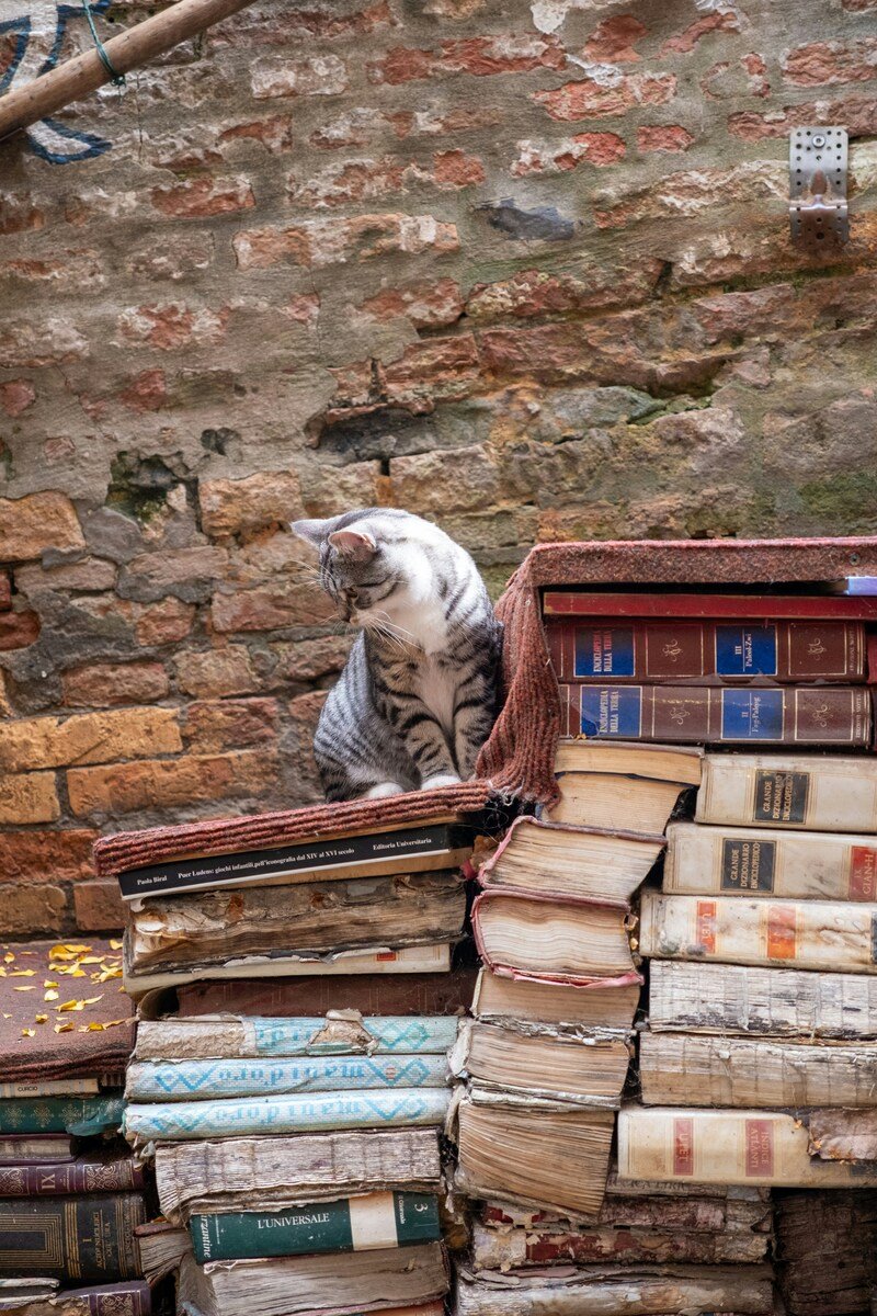 1 day in Venice - Libreria Acqua Alta