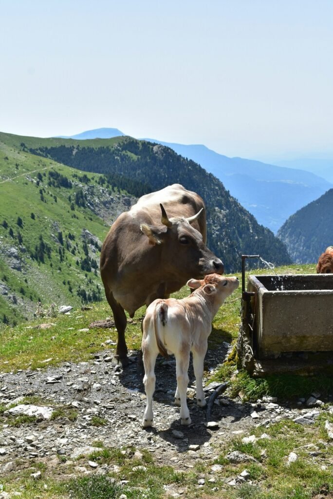 Vall de Nuria - day trips from Barcelona