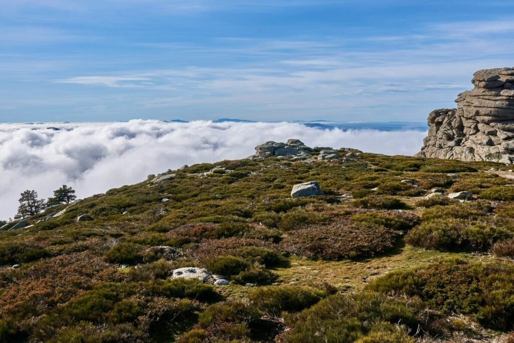 Sierra de Guadarrama National Park