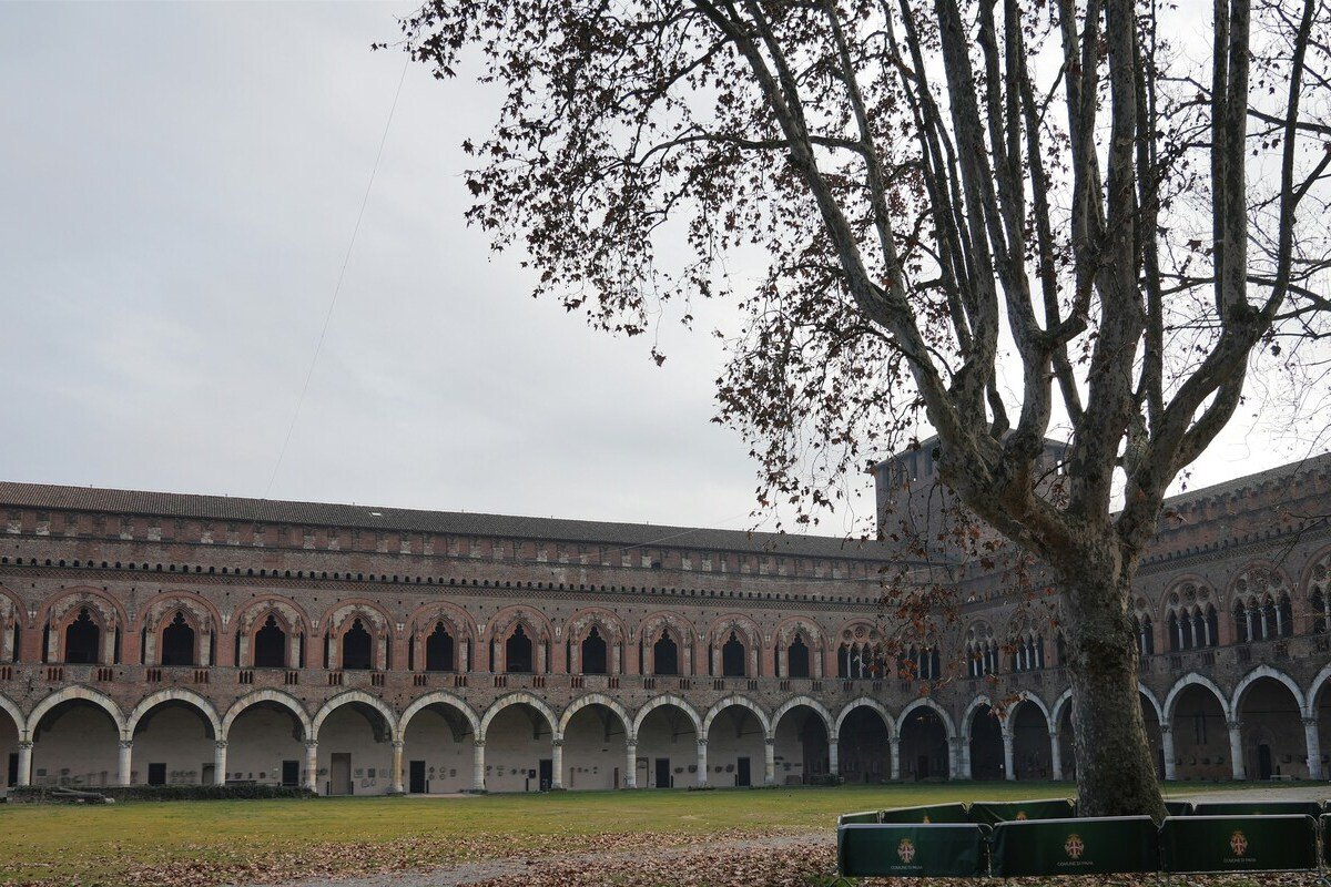 Pavia